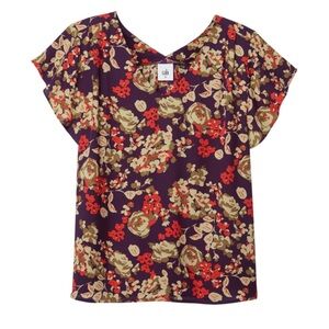 CAbi #4169 Á La Mode Top. Size M